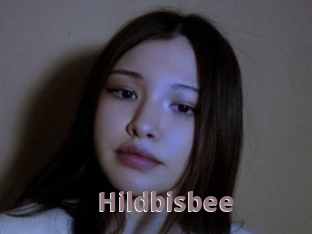 Hildbisbee