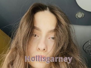 Hollisgarney