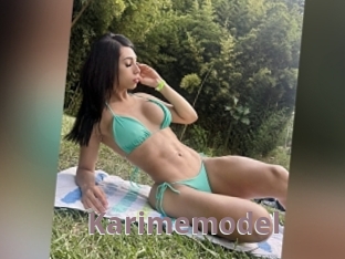 Karimemodel