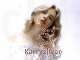 Karrysilver