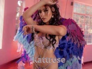 Kattrose