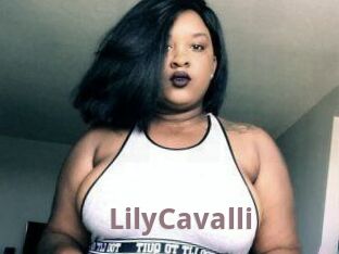 Lily_Cavalli