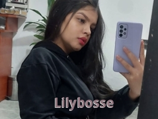 Lilybosse