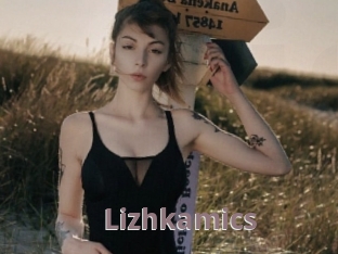 Lizhkamics