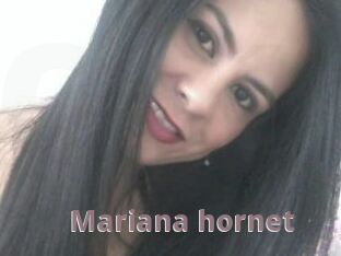 Mariana_hornet