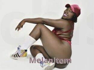 melanitom Chienne Soumise