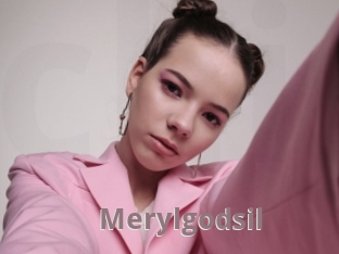 Merylgodsil