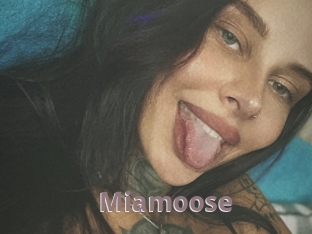 Miamoose