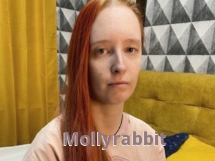 Mollyrabbit