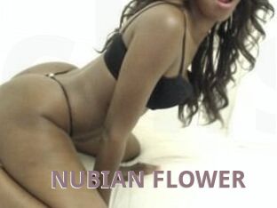 NUBIAN_FLOWER