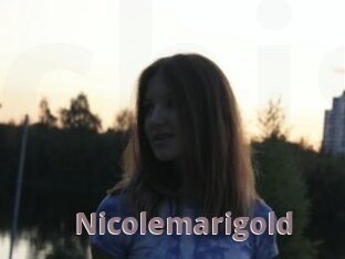 nicolemarigold Chienne Soumise