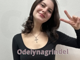 Odelynagrindel