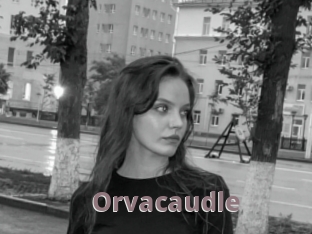 Orvacaudle