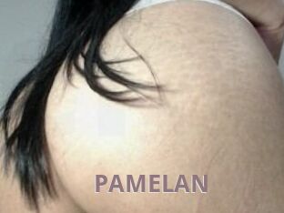 PAMELA_N