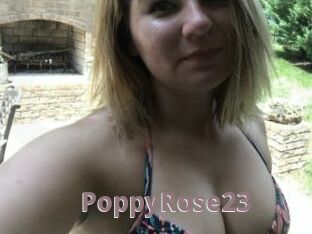 PoppyRose23