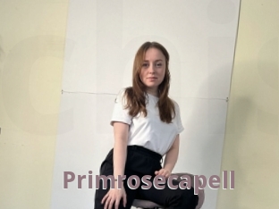 Primrosecapell