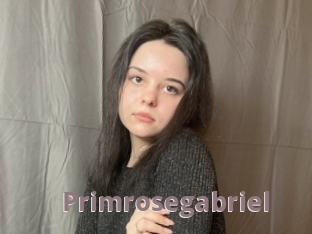 Primrosegabriel