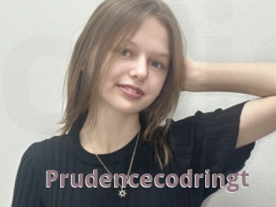 Prudencecodringt