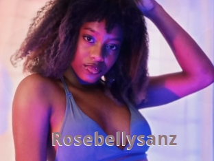 Rosebellysanz