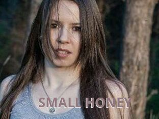 SMALL_HONEY