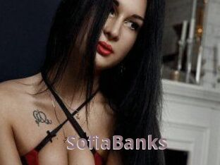 SofiaBanks