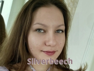 Silverbeech