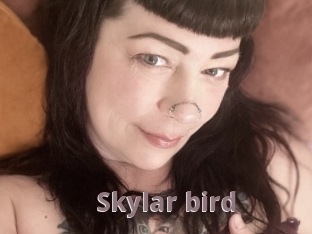 Skylar_bird