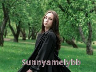 Sunnyamelybb