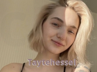 Taytehessel