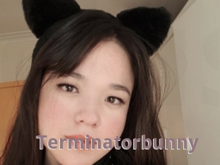 Terminatorbunny