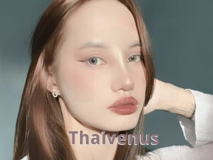 Thaivenus