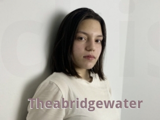 Theabridgewater