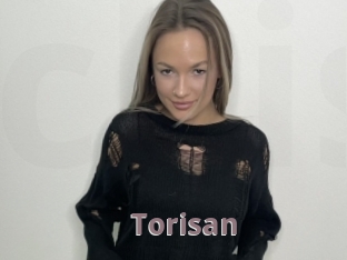 Torisan