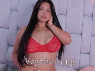 Vegaburning