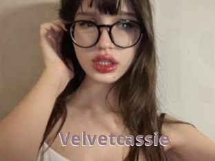 Velvetcassie