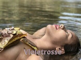 Violetrosse