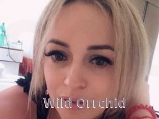 Wild_Orrchid