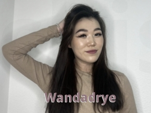 Wandadrye