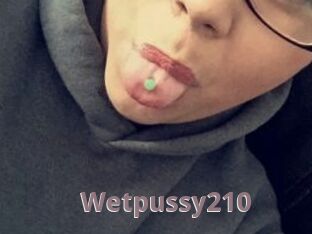 Wetpussy210