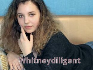 Whitneydiligent