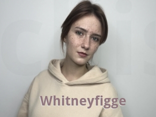 Whitneyfigge