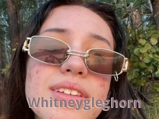 Whitneygleghorn