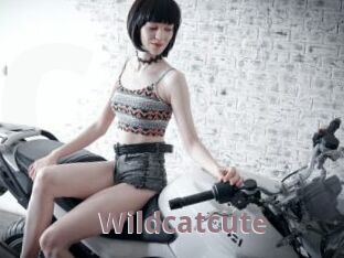 Wildcatcute