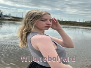 Wilonebolyard