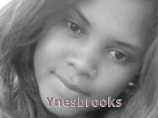 Ynesbrooks