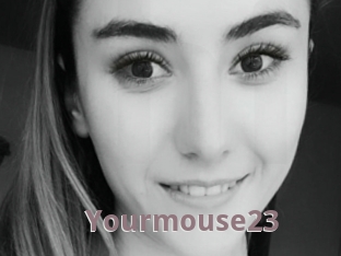 Yourmouse23